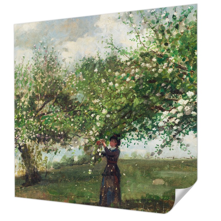 Öntapadós Fotótapéta Falra, Wallfluent, Tavaszi jelenet, Zöld, 250 x 250 cm, Erős Ragasztó, Modern Belsőépítészeti Dekoráció, 010170060030000285461