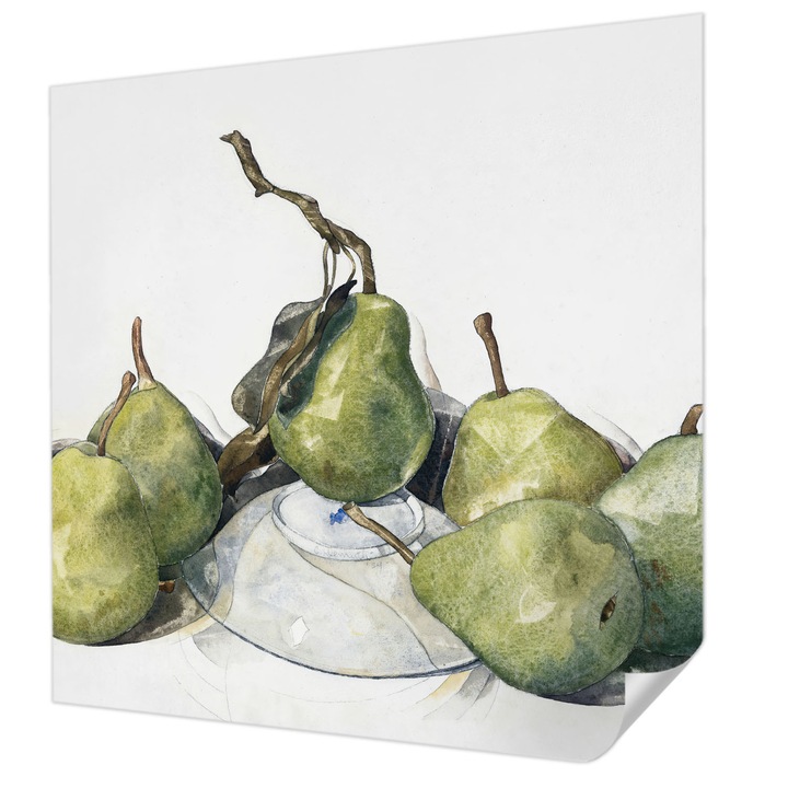 Öntapadós Fotótapéta Falra, Wallfluent, Akvarell körte, Zöld, 250 x 250 cm, Nappaliba, Konyhába, 010170060030000285464