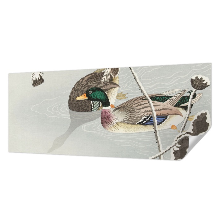 Öntapadós Tapéta Falra, Wallfluent, Nyugodt kacsák, Szürke, 250 x 104 cm, Fali Dekoráció, Nedvesség- És Foltálló, 010170060020000017883