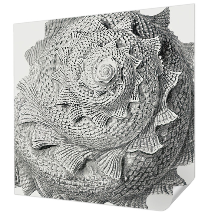 Tapet Textil Autocolant, Wallfluent, Arta naturii, Gri, 250 x 250 cm, Pentru Perete, Rezistente La Apa, Umiditate Si Pete, 010170060030000285491