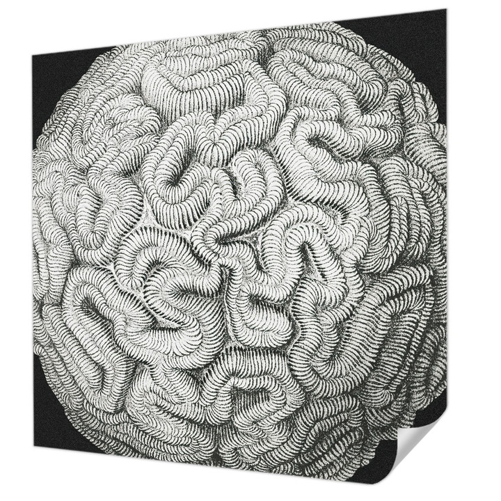 Öntapadós Fotótapéta Falra, Wallfluent, Gömb alakú szerkezet, Fekete, 250 x 250 cm, Könnyen Tisztítható, Nedvességálló, 010170060030000285492