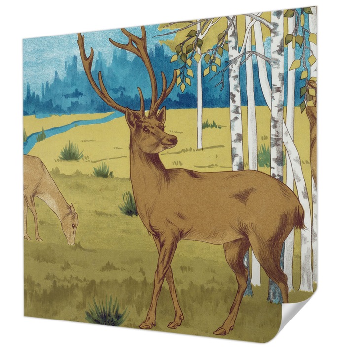 Öntapadós Dekor Tapéta, Wallfluent, Erdő harmóniája, Zöld, 250 x 250 cm, Modern Dizájn, Könnyen Felszerelhető És Tisztítható, 010170060030000285499