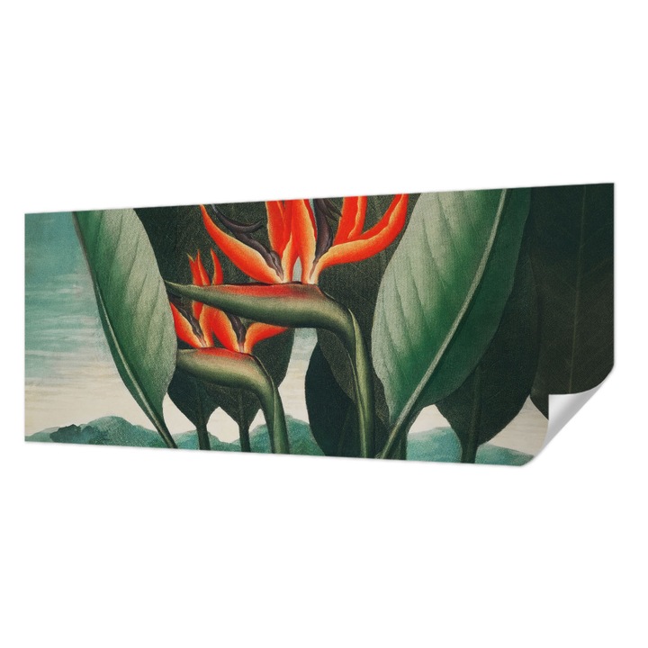 Öntapadós Tapéta Falra, Wallfluent, Egzotikus virágok, Zöld, 250 x 104 cm, Könnyen Tisztítható, Nedvességálló, 010170060020000031714