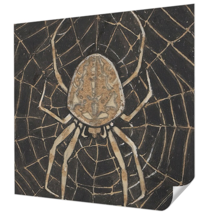 Öntapadós Tapéta Fali Dekoráció, Wallfluent, Pókháló, Fekete, 250 x 250 cm, Modern Dizájn, Könnyen Felszerelhető És Tisztítható, 010170060030000285509
