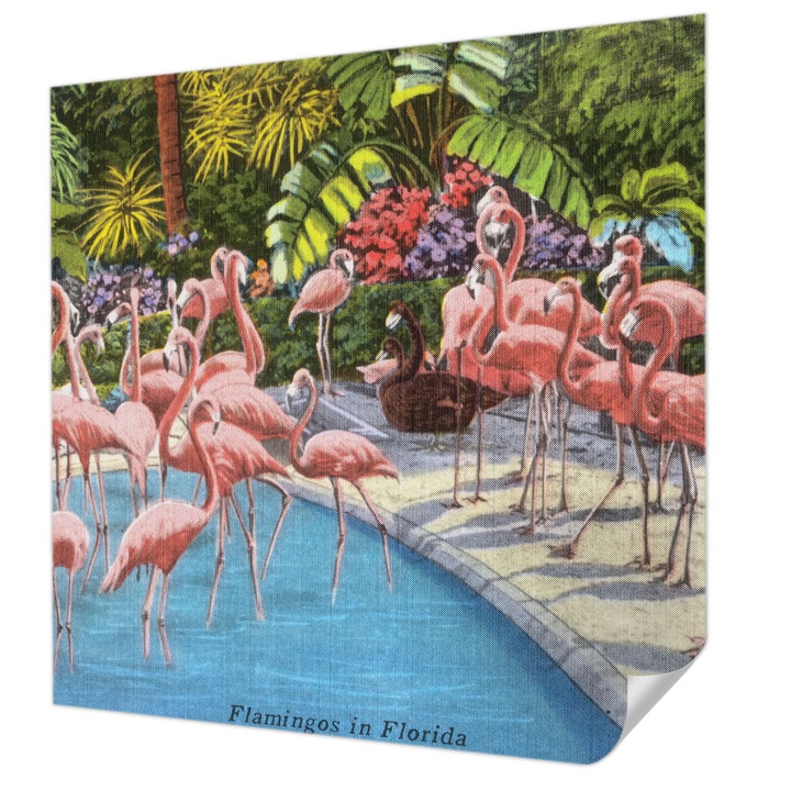 Öntapadós Tapéta Falra, Wallfluent, Egzotikus jelenet, Zöld, 250 x 250 cm, Könnyen Tisztítható, Nedvességálló, 010170060030000285512