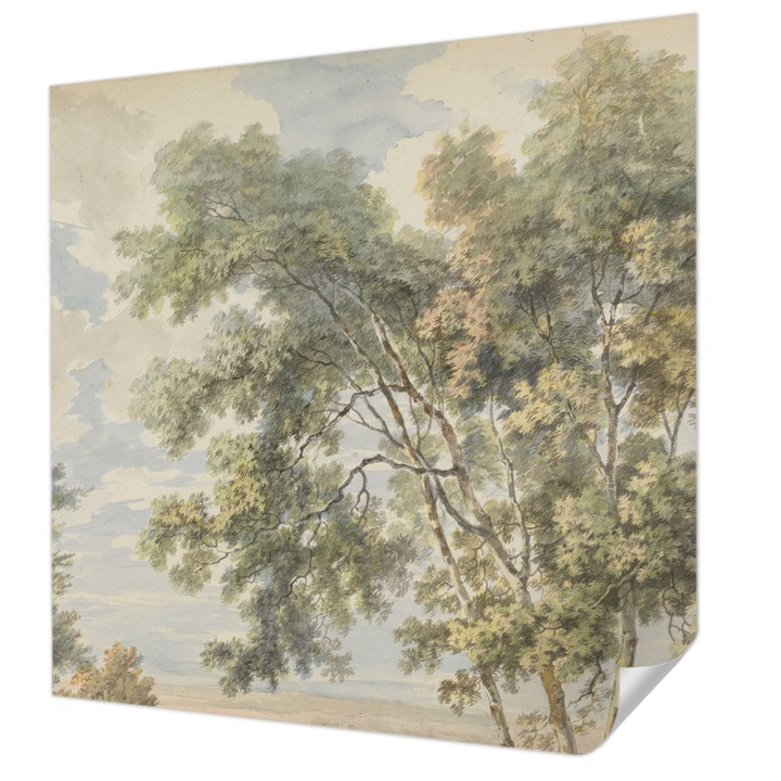 Öntapadós Dekor Tapéta, Wallfluent, Romantikus természet, Zöld, 250 x 250 cm, Könnyen Tisztítható, Nedvességálló, 010170060030000285528