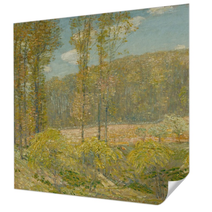 Öntapadós Tapéta Fali Dekoráció, Wallfluent, Erdő táj, Zöld, 250 x 250 cm, Modern Dizájn, Nedvesség- És Foltálló, 010170060030000285536