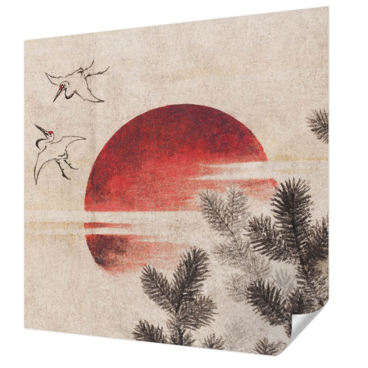 Öntapadós Tapéta Fali Dekoráció, Wallfluent, Kelet-erdő, Fehér, 250 x 250 cm, Előszobába, Hálószobába, 010170060030000285544