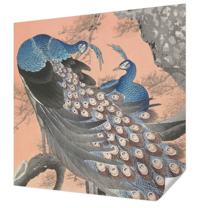 Öntapadós Fotótapéta Falra, Wallfluent, Páva elegancia, Narancssárga, 250 x 250 cm, Erős Ragasztó, Modern Belsőépítészeti Dekoráció, 010170060030000285556