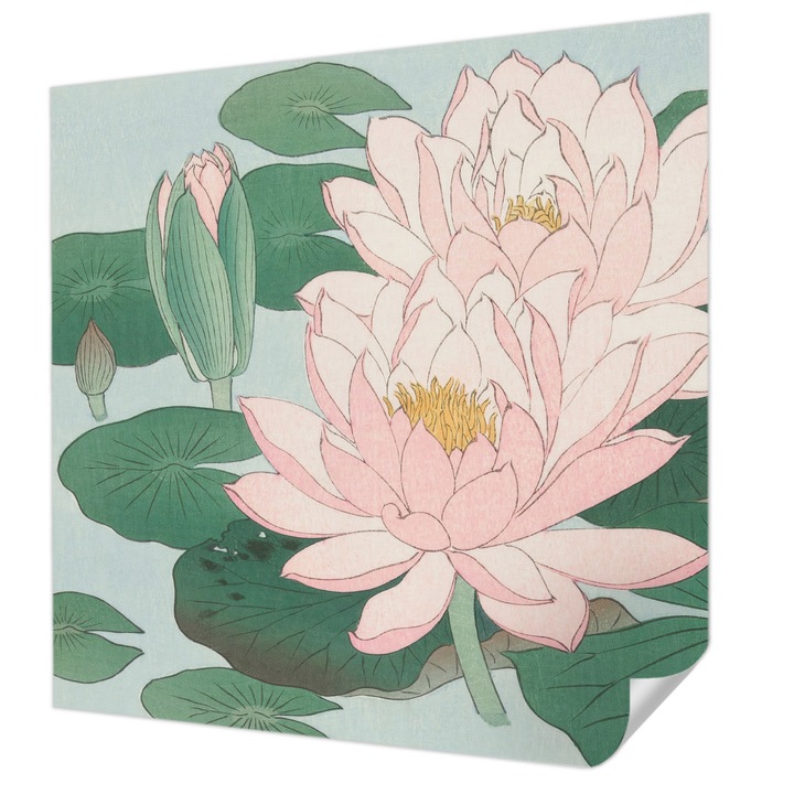 Öntapadós Fotótapéta Falra, Wallfluent, Vízi lótusz, Zöld, 250 x 250 cm, Modern Dizájn, Könnyen Felszerelhető És Tisztítható, 010170060030000285557
