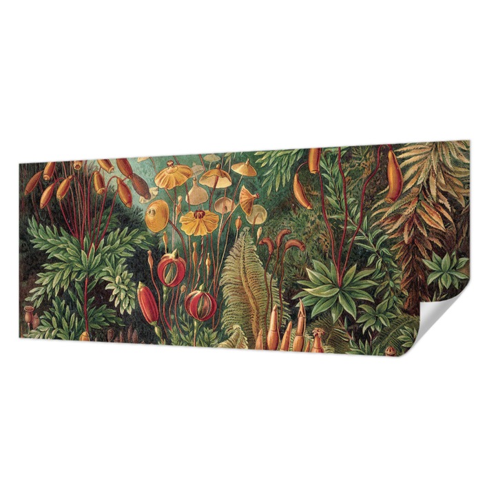 Öntapadós Tapéta Falra, Wallfluent, Egzotikus kert, Zöld, 250 x 104 cm, Előszobába, Hálószobába, 010170060020000057329