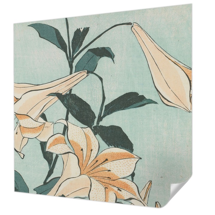 Öntapadós Tapéta Falra, Wallfluent, Finom liliomok, Fekete, 250 x 250 cm, Könnyen Tisztítható, Nedvességálló, 010170060030000285546