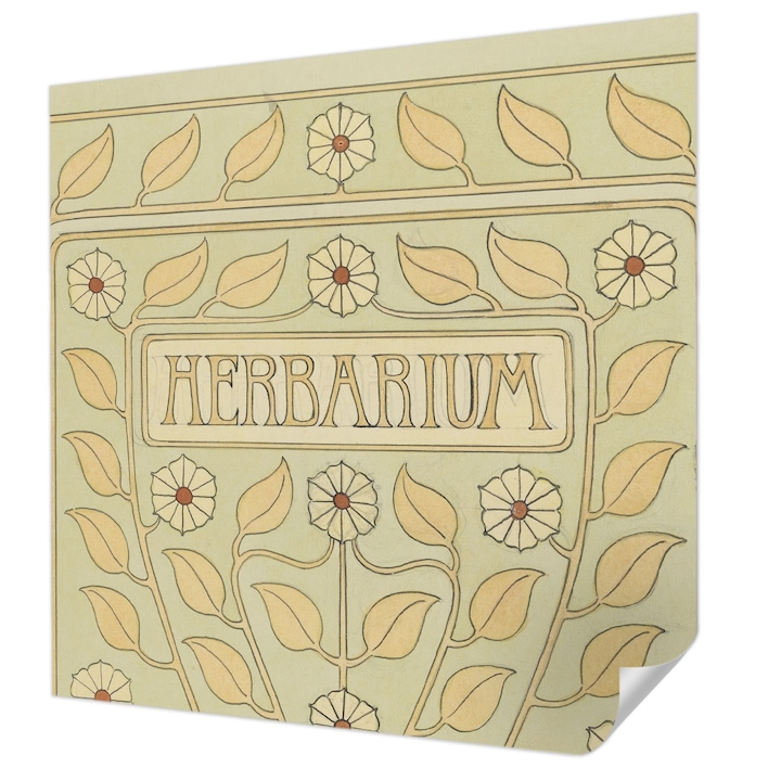 Öntapadós Tapéta Falra, Wallfluent, Növényi dísz, Fehér, 250 x 250 cm, Előszobába, Hálószobába, 010170060030000285553