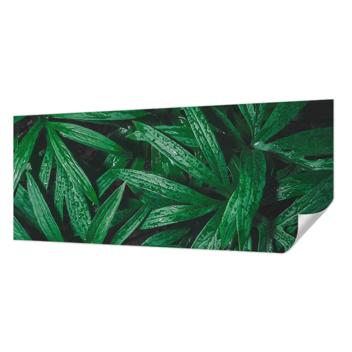 Öntapadós Dekor Tapéta, Wallfluent, Természetes növényzet, Zöld, 250 x 104 cm, Nappaliba, Konyhába, 010170060020000077396