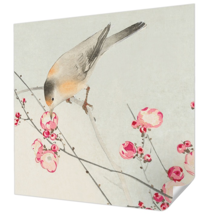 Öntapadós Fotótapéta Falra, Wallfluent, Virágmadár, Fekete, 250 x 250 cm, Fali Dekoráció, Nedvesség- És Foltálló, 010170060030000285555