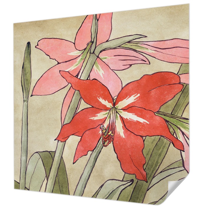 Öntapadós Tapéta Falra, Wallfluent, Napliliom virágok, Bézs, 250 x 250 cm, Modern Dizájn, Könnyen Felszerelhető És Tisztítható, 010170060030000285580