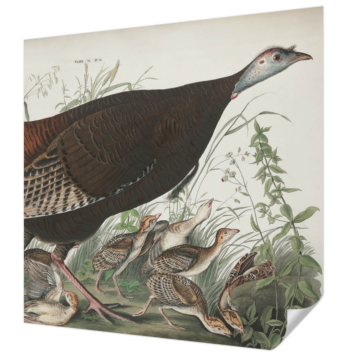 Öntapadós Fotótapéta Falra, Wallfluent, Természetes harmónia, Barna, 250 x 250 cm, Dekoráció, Erős Ragasztó, 010170060030000285593