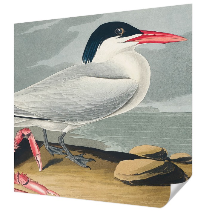 Öntapadós Fotótapéta Falra, Wallfluent, Tengeri táj, Szürke, 250 x 250 cm, Nappaliba, Konyhába, 010170060030000285591