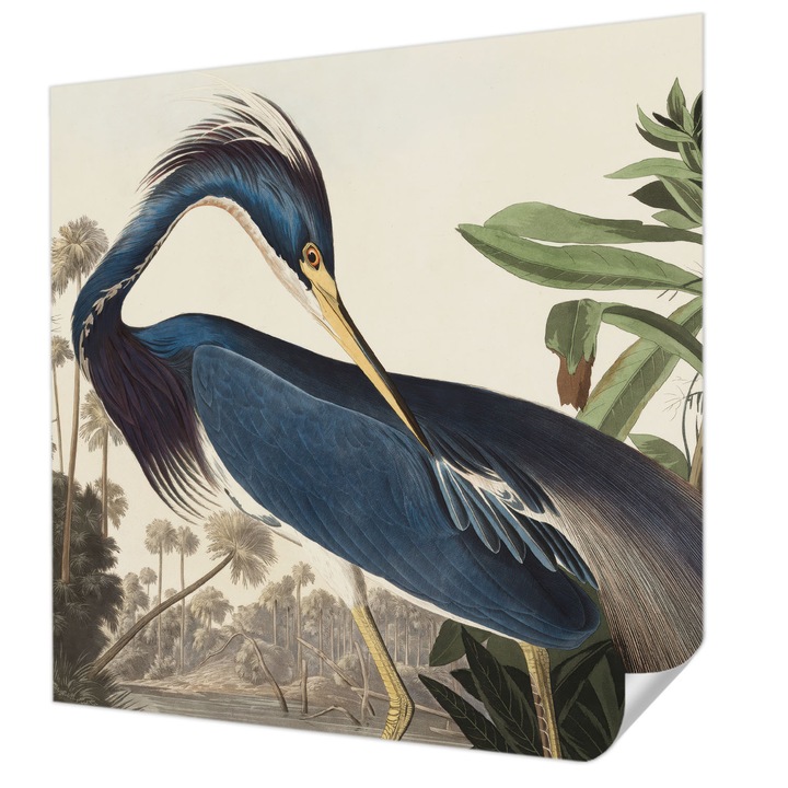 Öntapadós Dekor Tapéta, Wallfluent, Egzotikus természet, Kék, 250 x 250 cm, Erős Ragasztó, Modern Belsőépítészeti Dekoráció, 010170060030000285596