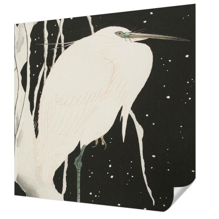 Öntapadós Dekor Tapéta, Wallfluent, Téli madár, Fehér, 250 x 250 cm, Nappaliba, Konyhába, 010170060030000285605