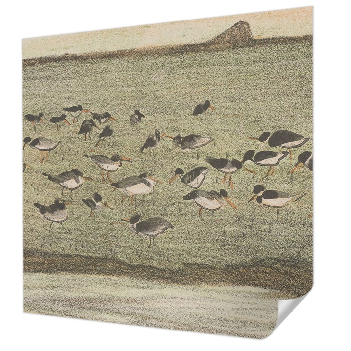 Öntapadós Tapéta Fali Dekoráció, Wallfluent, Madár békéje, Zöld, 250 x 250 cm, Előszobába, Hálószobába, 010170060030000285615