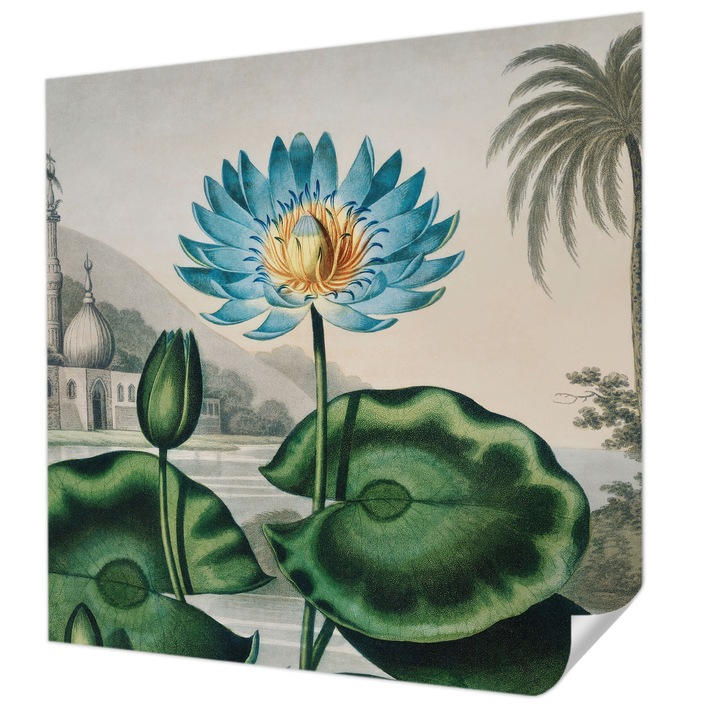 Öntapadós Tapéta Falra, Wallfluent, Egzotikus táj, Zöld, 250 x 250 cm, Klasszikus, Könnyen Felszerelhető, 010170060030000285619