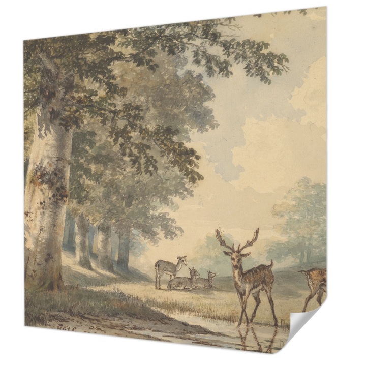 Öntapadós Fotótapéta Falra, Wallfluent, Erdő békéje, Bézs, 250 x 250 cm, Fali Dekoráció, Nedvesség- És Foltálló, 010170060030000285624