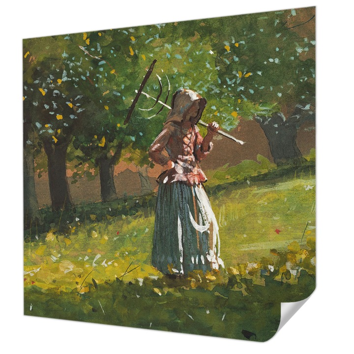 Öntapadós Tapéta Falra, Wallfluent, Őszi délután, Zöld, 250 x 250 cm, Klasszikus, Könnyen Felszerelhető, 010170060030000285653