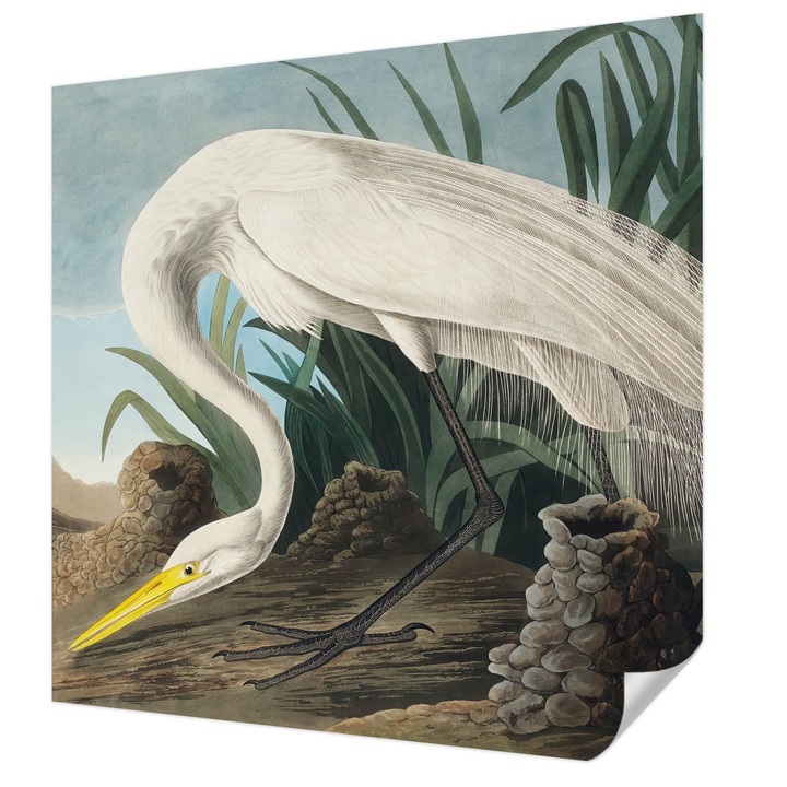 Öntapadós Fotótapéta Falra, Wallfluent, Fenséges gém, Fehér, 250 x 250 cm, Könnyen Tisztítható, Nedvességálló, 010170060030000285657