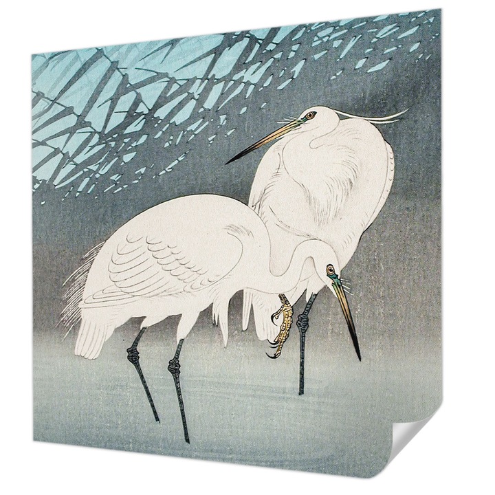 Tapet Textil Autocolant, Wallfluent, Pasari delicate, Albastru, 250 x 250 cm, Pentru Sufragerie, Dormitor, 010170060030000285661