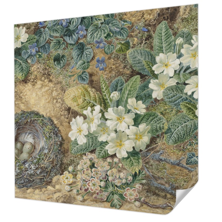 Öntapadós Dekor Tapéta, Wallfluent, Tavaszi kompozíció, Fehér, 250 x 250 cm, Könnyen Tisztítható, Nedvességálló, 010170060030000285665