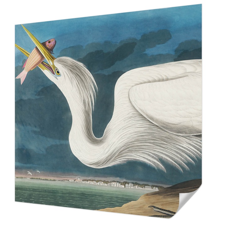 Öntapadós Dekor Tapéta, Wallfluent, Madár hallal, Fehér, 250 x 250 cm, Előszobába, Hálószobába, 010170060030000285599