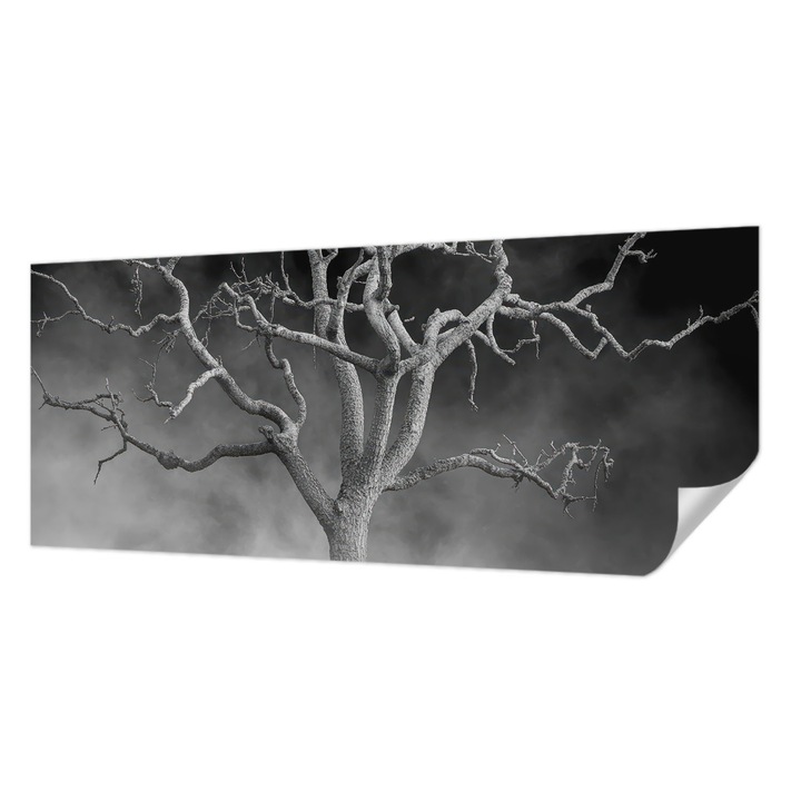 Tapet Autocolant De Perete, Wallfluent, Copac incetosat, Multicolor, 250 x 104 cm, Pentru Interior, Usor De Curatat, 010170060020000285088