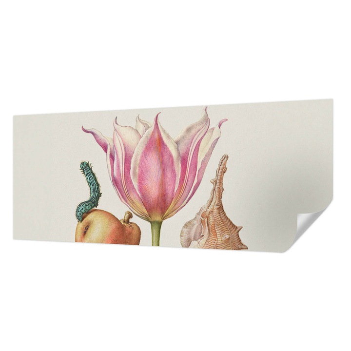 Tapet Autocolant De Perete, Wallfluent, Simbioza naturala, Bej, 250 x 104 cm, Pentru Sufragerie, Dormitor, 010170060020000285485