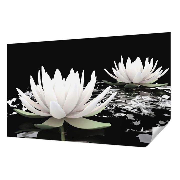 Öntapadós Tapéta Fali Dekoráció, Wallfluent, Vízi virágok, Fehér, 416 x 254 cm, Modern Dizájn, Könnyen Felszerelhető És Tisztítható, 010170060070000000696