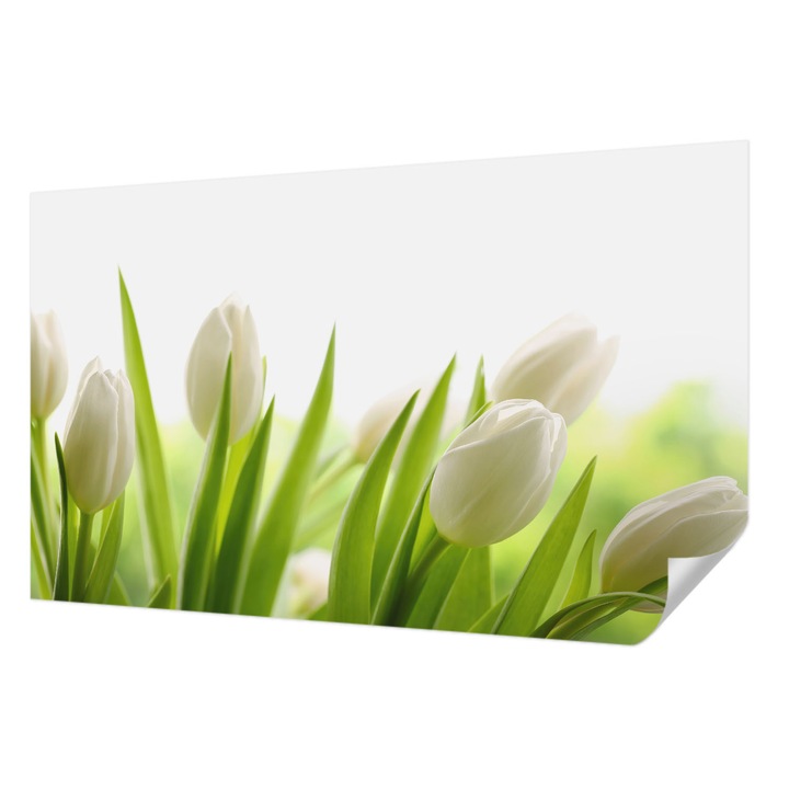 Öntapadós Dekor Tapéta, Wallfluent, Fehér tulipánok, Fehér, 416 x 254 cm, Dekoráció, Falra, 010170060070000000511