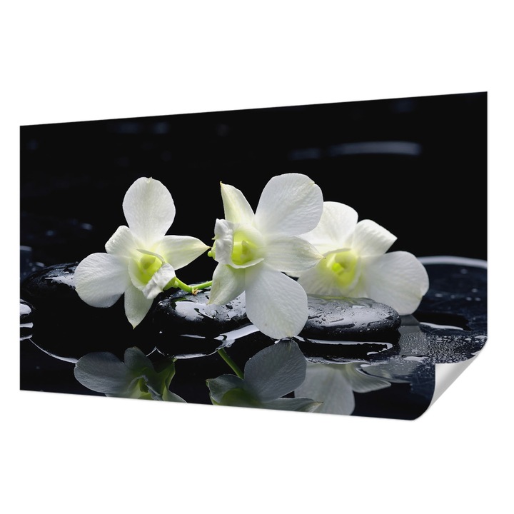 Öntapadós Tapéta Fali Dekoráció, Wallfluent, Virágok és kövek, Fehér, 416 x 254 cm, Modern Dizájn, Hálószobába, 010170060070000000629