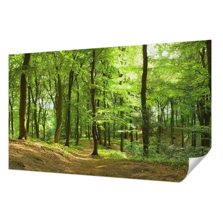 Öntapadós Tapéta Falra, Wallfluent, Természetes ösvény, Zöld, 416 x 254 cm, Könnyen Tisztítható, Nedvességálló, 010170060070000000799