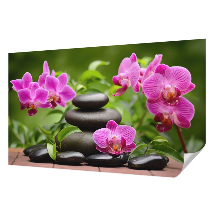 Öntapadós Tapéta Falra, Wallfluent, Orchidea kövek, Zöld, 416 x 254 cm, Dekoráció, Klasszikus, 010170060070000000960