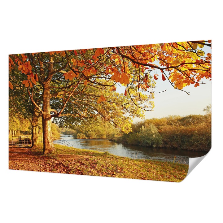 Öntapadós Fotótapéta Falra, Wallfluent, Tengerparti ősz, Sárga, 416 x 254 cm, Erős Ragasztó, Modern Belsőépítészeti Dekoráció, 010170060070000001146