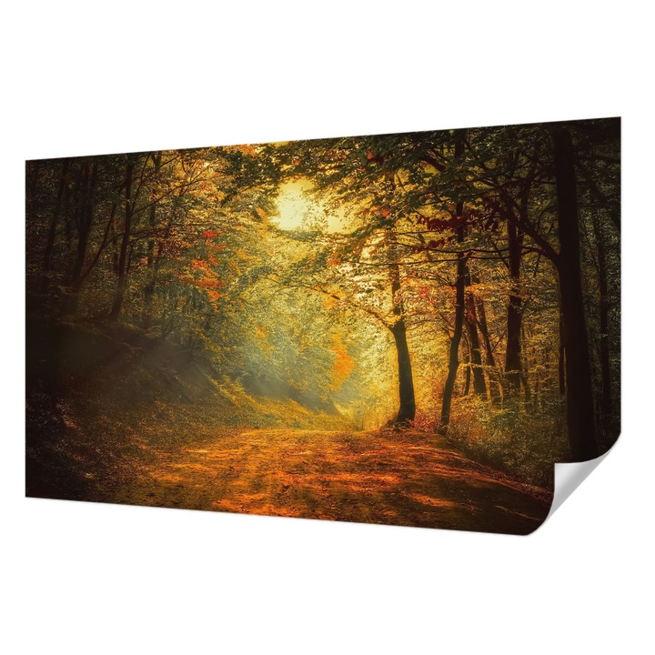 Öntapadós Dekor Tapéta, Wallfluent, Őszi tájkép, Sárga, 416 x 254 cm, Erős Ragasztó, Modern Belsőépítészeti Dekoráció, 010170060070000001585