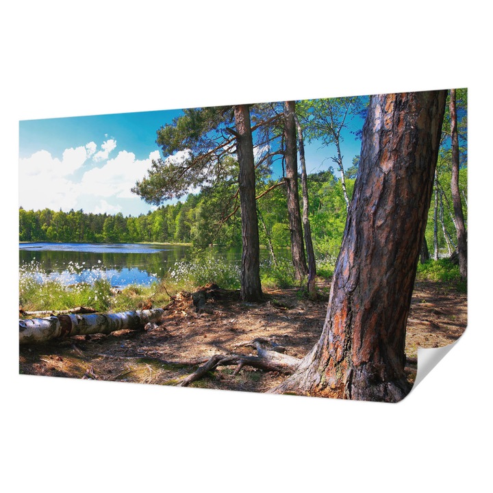 Öntapadós Dekor Tapéta, Wallfluent, Erdő táj, Zöld, 416 x 254 cm, Nappaliba, Konyhába, 010170060070000001736