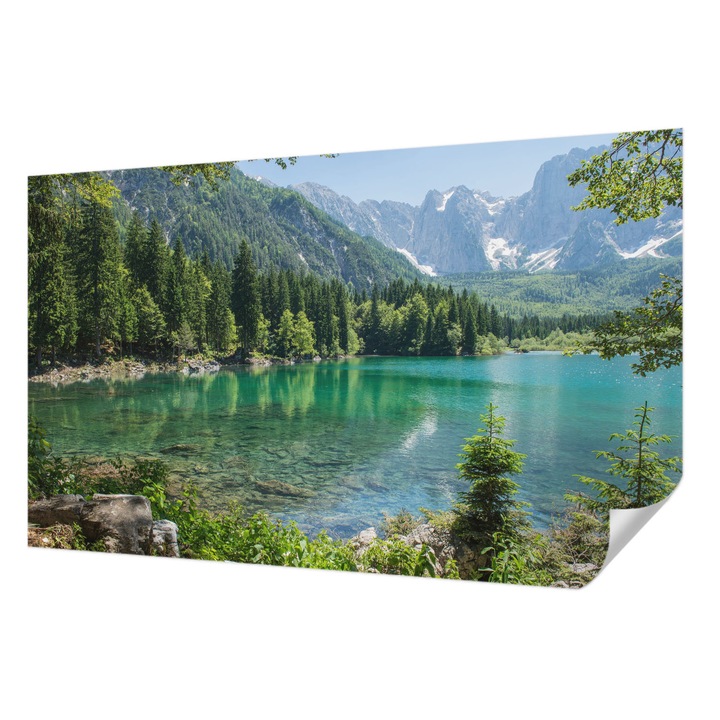 Öntapadós Dekor Tapéta, Wallfluent, Zöld tó, Zöld, 416 x 254 cm, Modern Dizájn, Könnyen Felszerelhető És Tisztítható, 010170060070000001407