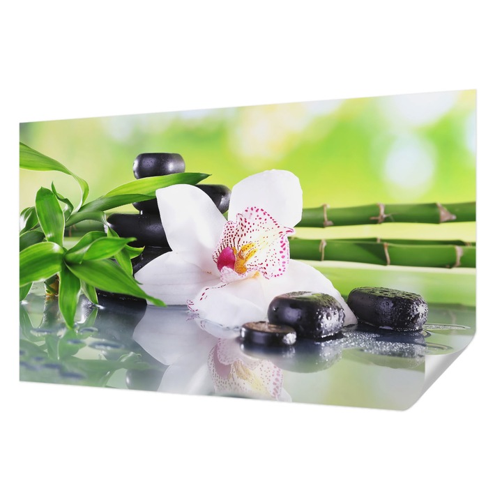 Öntapadós Tapéta Fali Dekoráció, Wallfluent, A természet békéje, Zöld, 416 x 254 cm, Nappaliba, Konyhába, 010170060070000001891