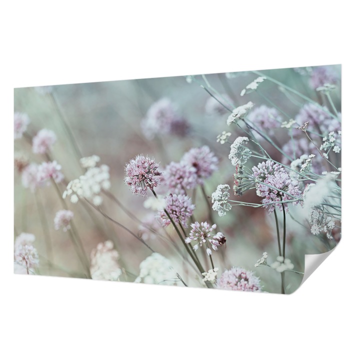 Öntapadós Tapéta Fali Dekoráció, Wallfluent, Vadvirágok, Fehér, 416 x 254 cm, Előszobába, Hálószobába, 010170060070000001836