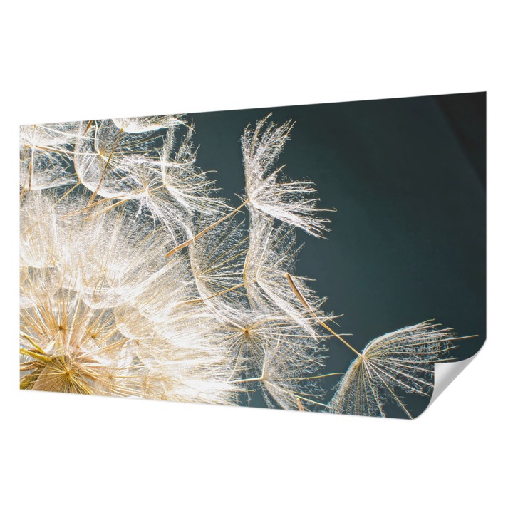 Öntapadós Fotótapéta Falra, Wallfluent, A könnyedség pitypangja, Fehér, 416 x 254 cm, Fali Dekoráció, Nedvesség- És Foltálló, 010170060070000001133