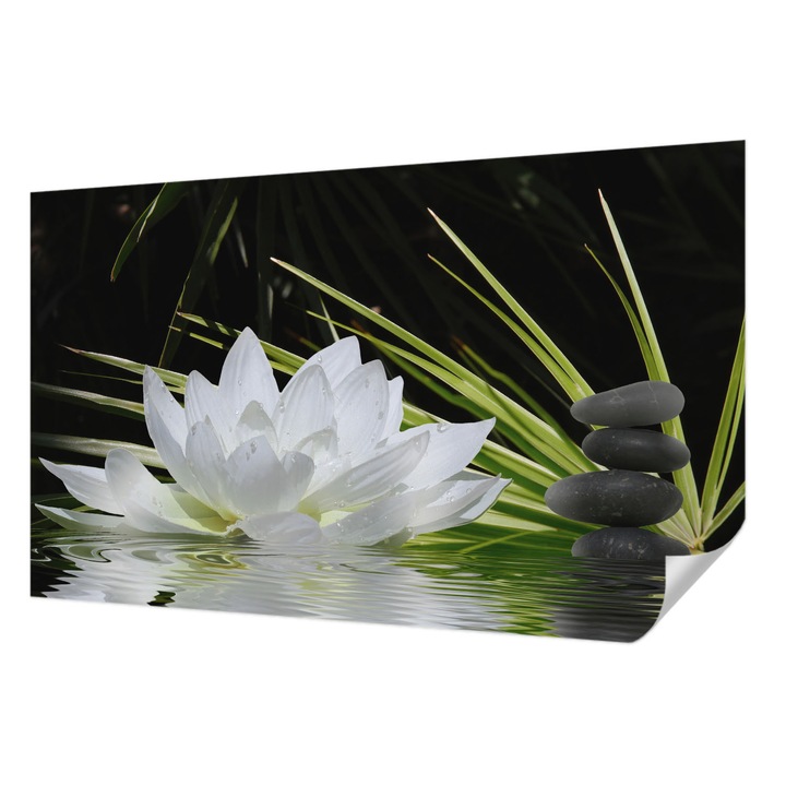 Öntapadós Tapéta Falra, Wallfluent, Liliom meditáció, Fehér, 416 x 254 cm, Modern Dizájn, Könnyen Felszerelhető És Tisztítható, 010170060070000002010