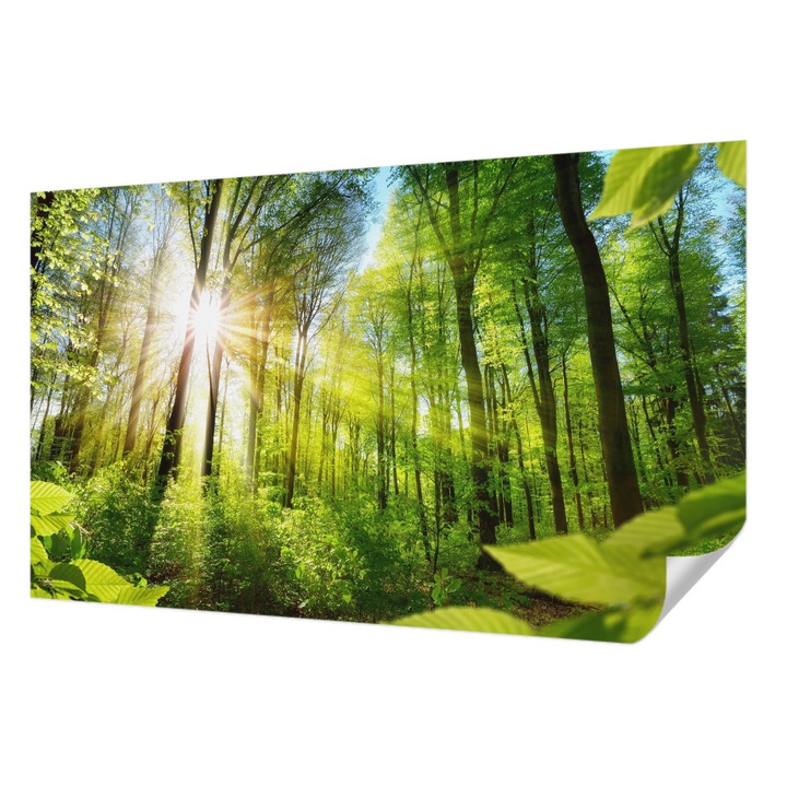 Öntapadós Tapéta Fali Dekoráció, Wallfluent, Erdei fény, Zöld, 416 x 254 cm, Előszobába, Hálószobába, 010170060070000007224