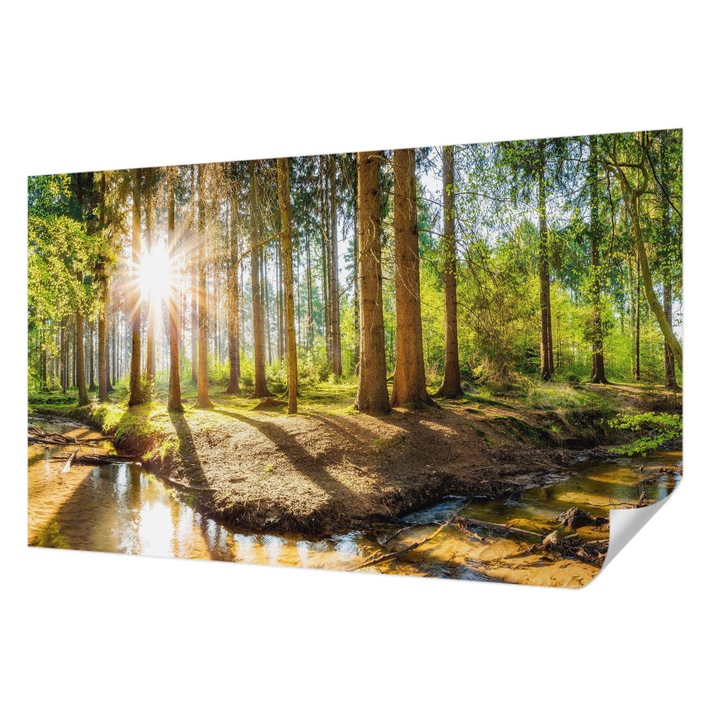 Öntapadós Tapéta Falra, Wallfluent, Erdei idill, Zöld, 416 x 254 cm, Fali Dekoráció, Nedvesség- És Foltálló, 010170060070000007339