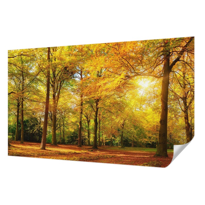 Öntapadós Tapéta Falra, Wallfluent, Arany levelek, Sárga, 416 x 254 cm, Nappaliba, Konyhába, 010170060070000007647